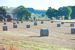 GB1207view.countryside.hay